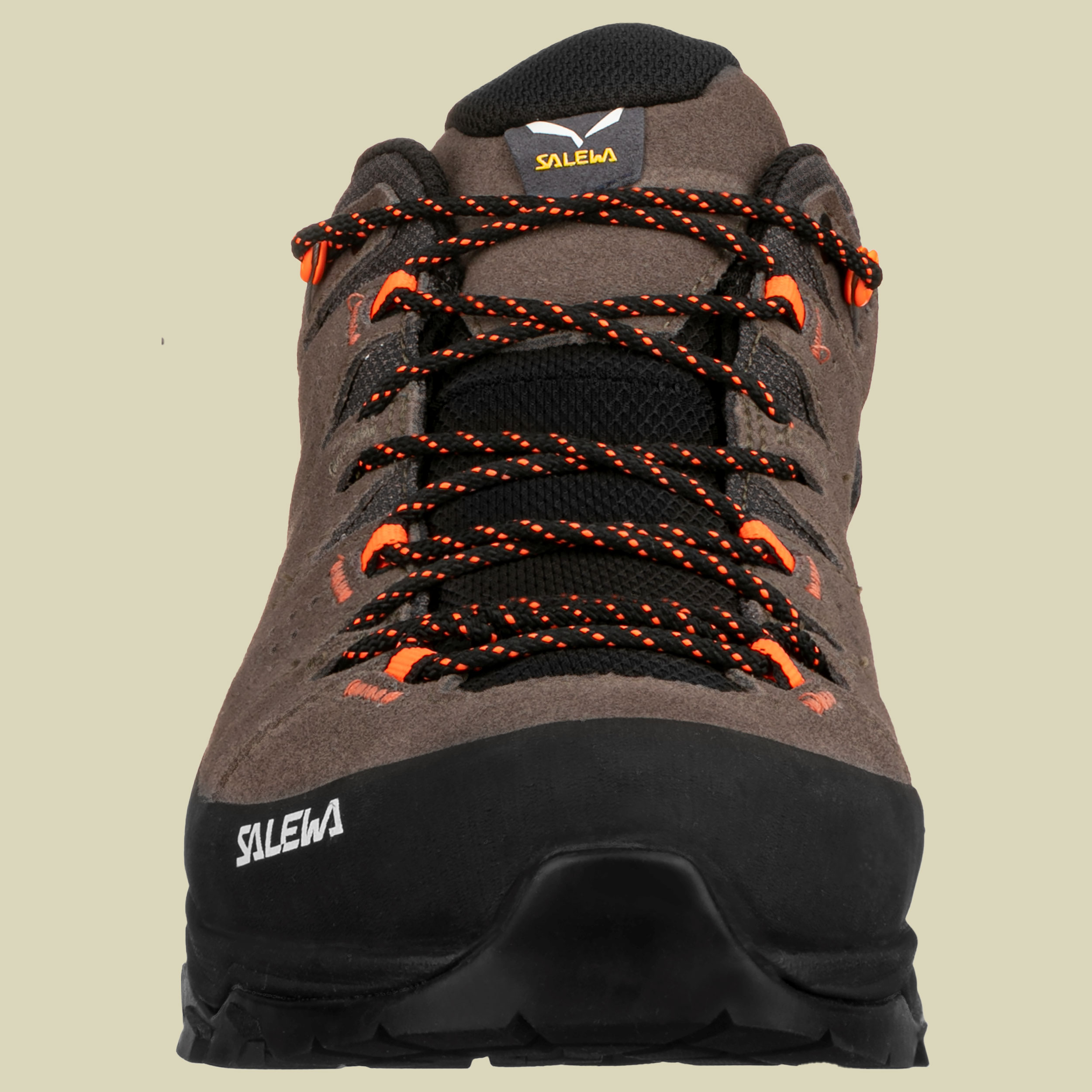 Alp Trainer 2 GTX Men bungee cord/black UK 11,5