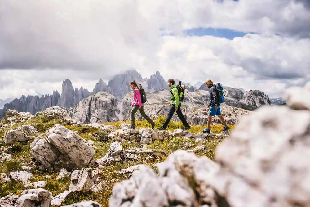 Bild Wandern CMP