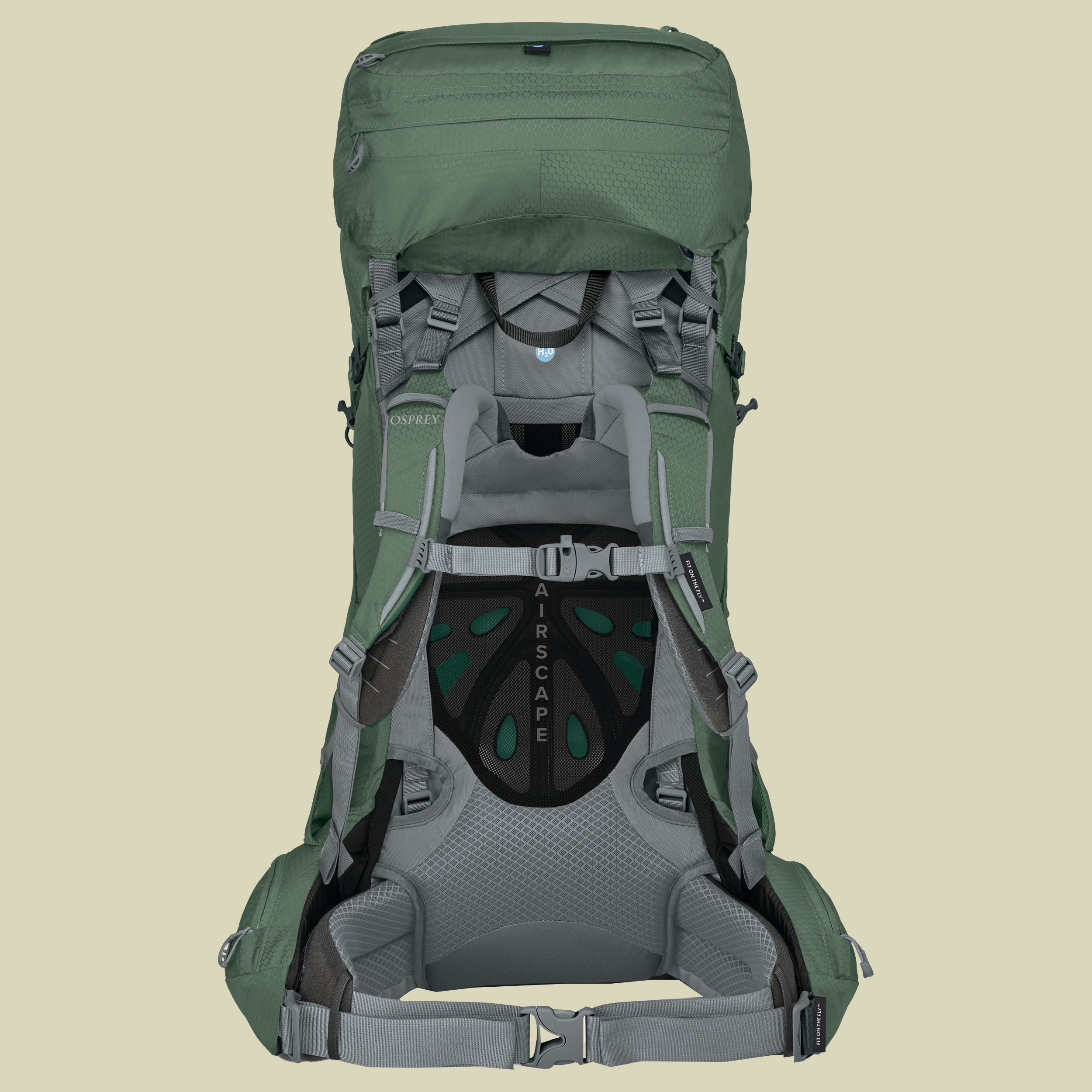Ariel 55 Women grün WXS/S - koseret green
