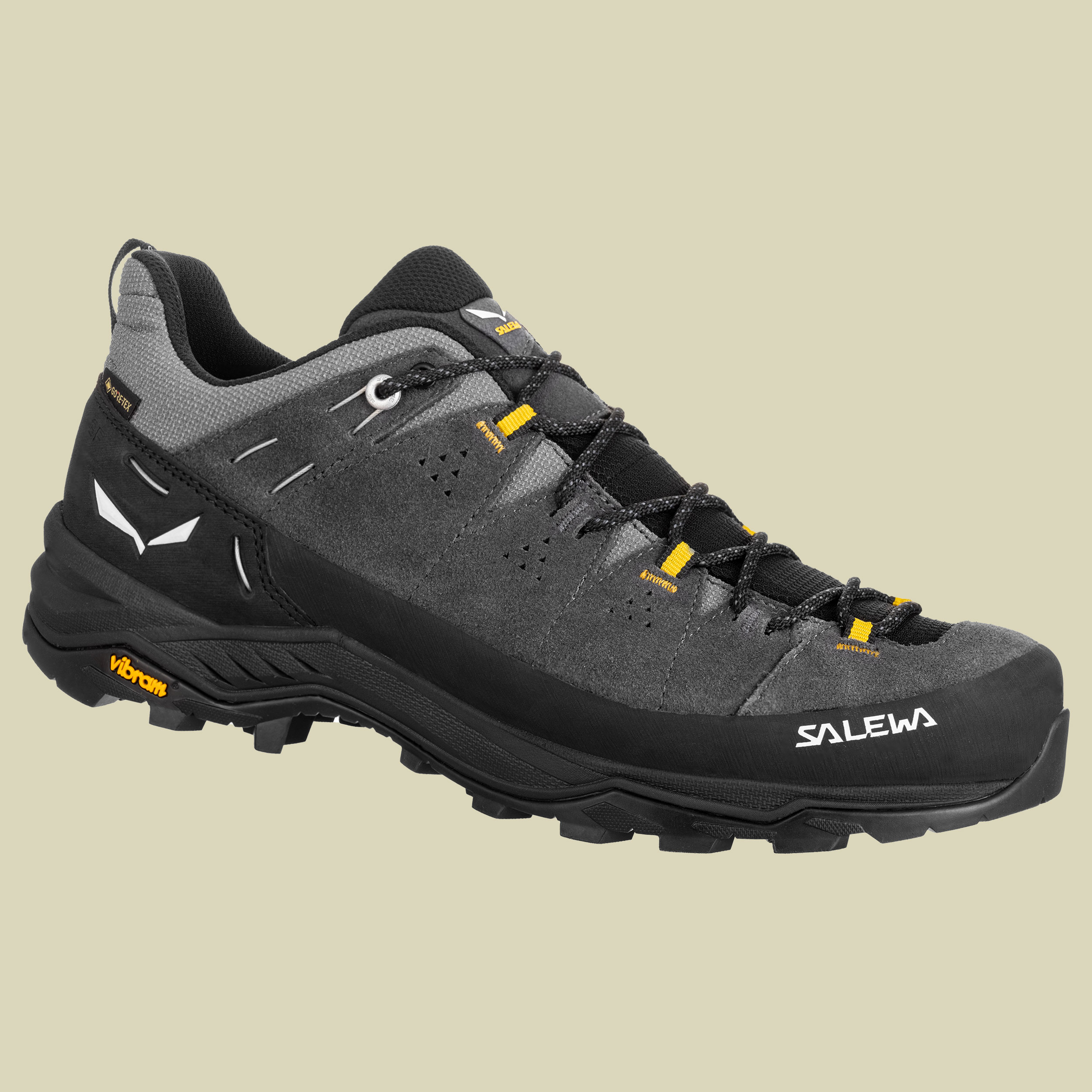 Alp Trainer 2 GTX Men onyx/black UK 13