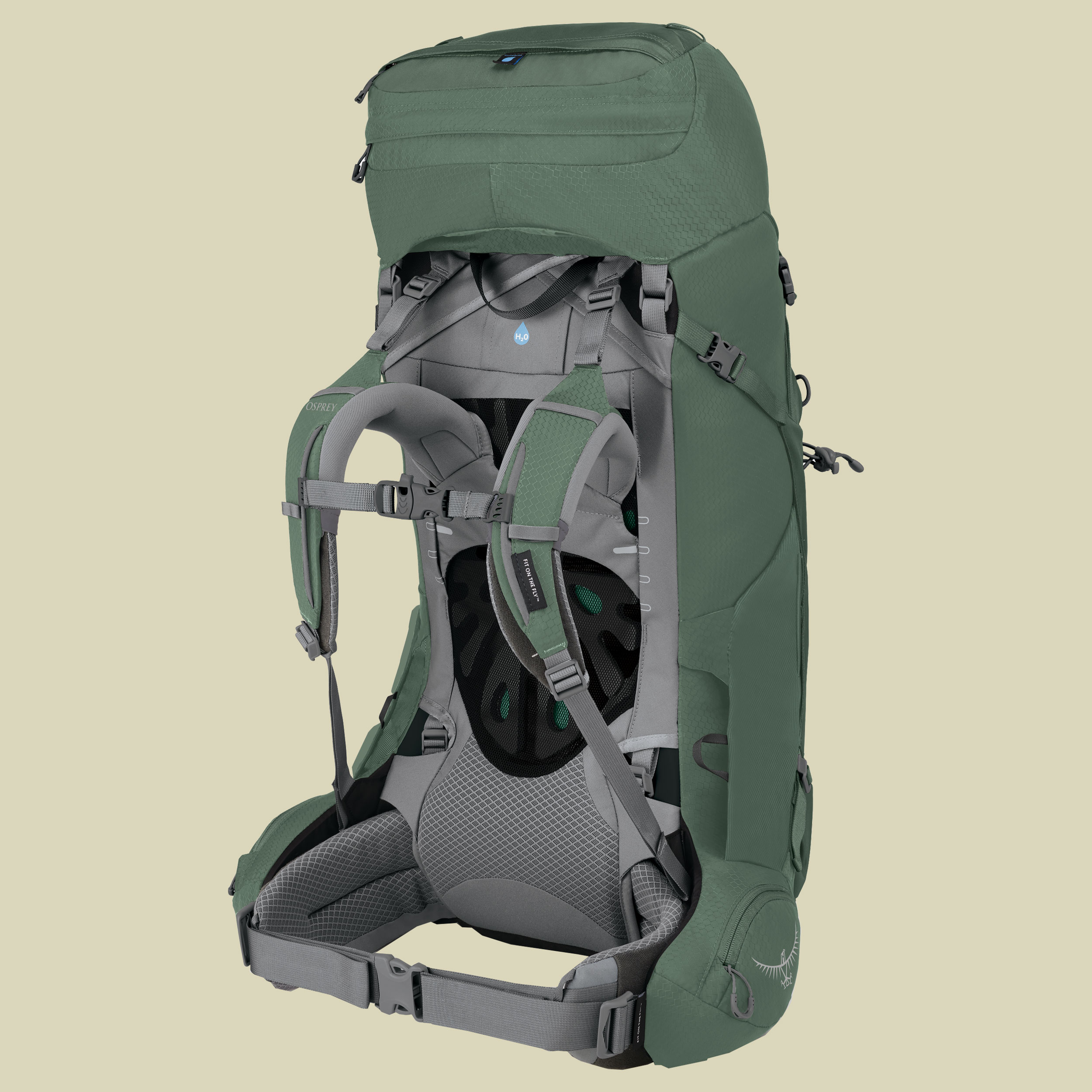 Ariel 55 Women grün WXS/S - koseret green