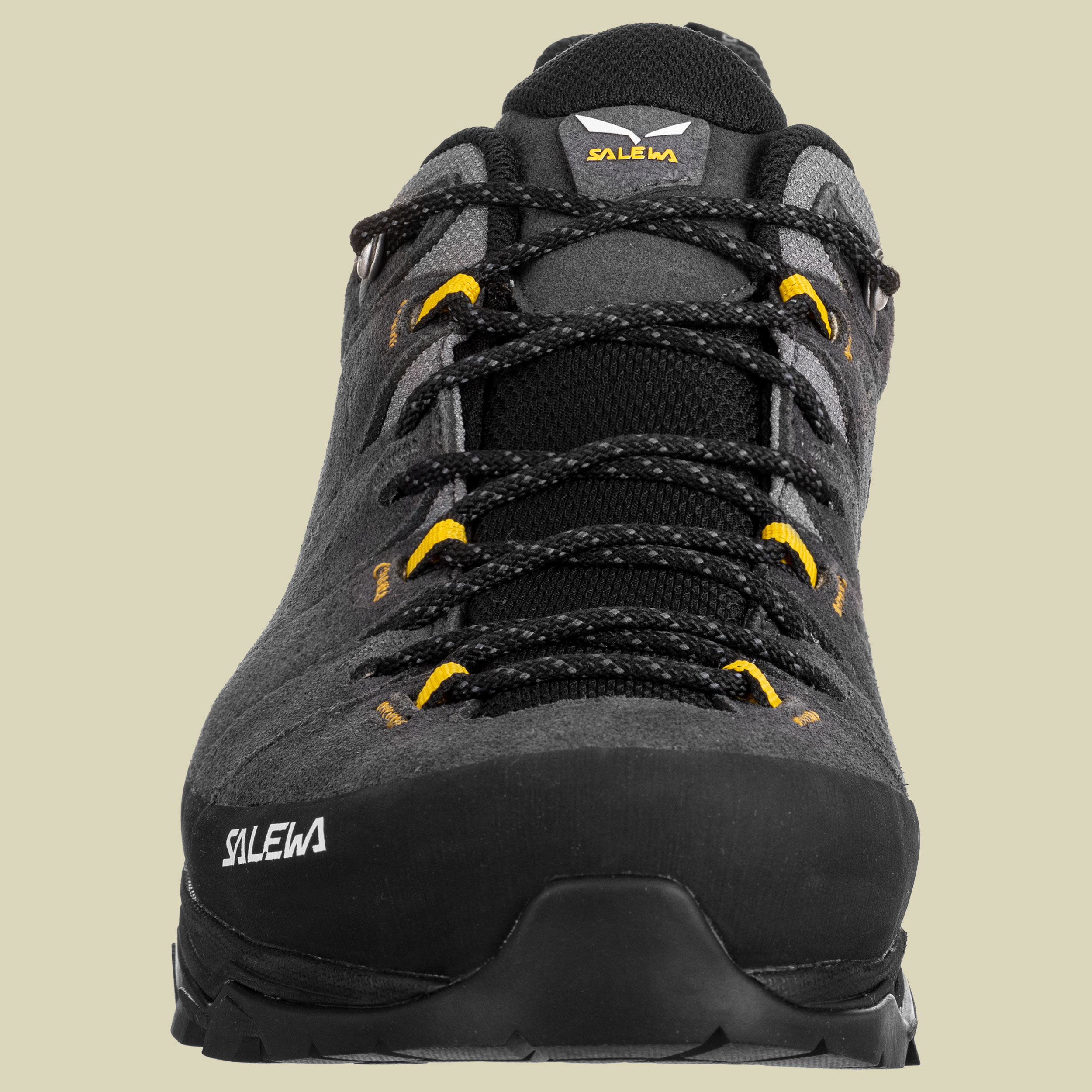 Alp Trainer 2 GTX Men onyx/black UK 10