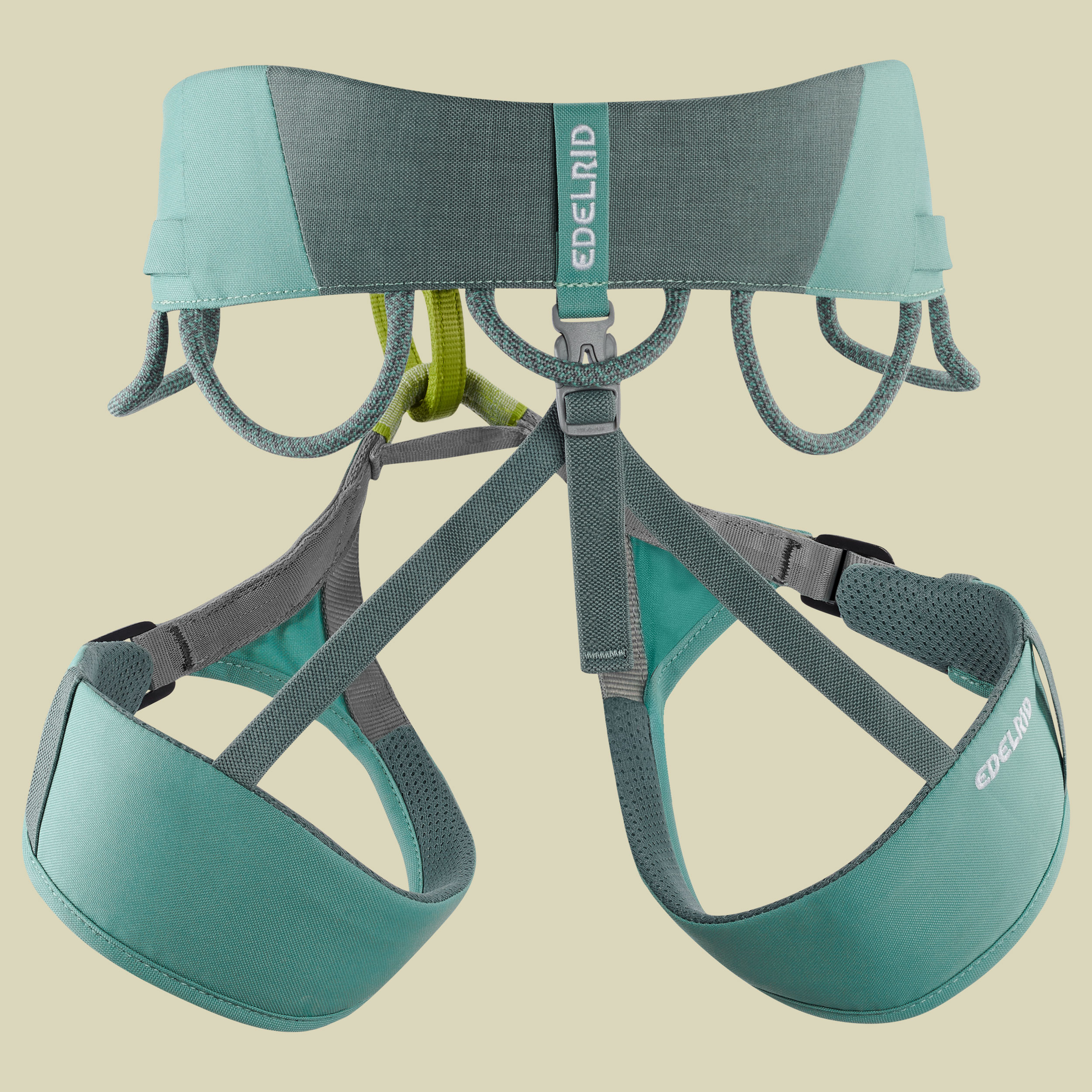 Jayne IV S blau - dolphin