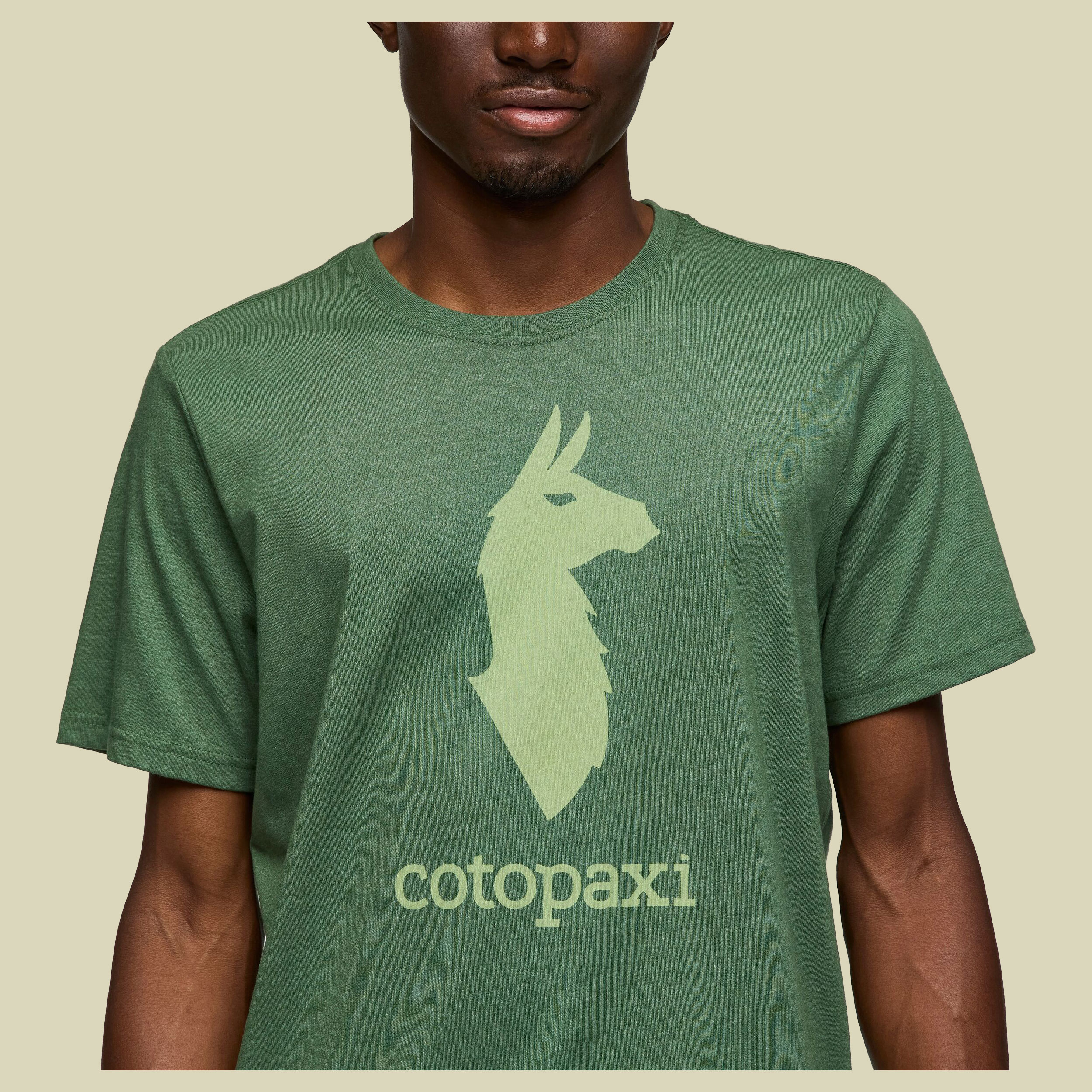 Cotopaxi Llama T-Shirt Men L grün - Farbe vine