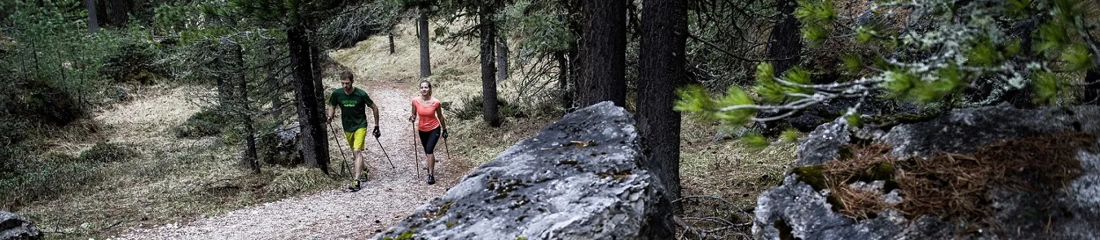 Leki Nordic Walking Imagebild