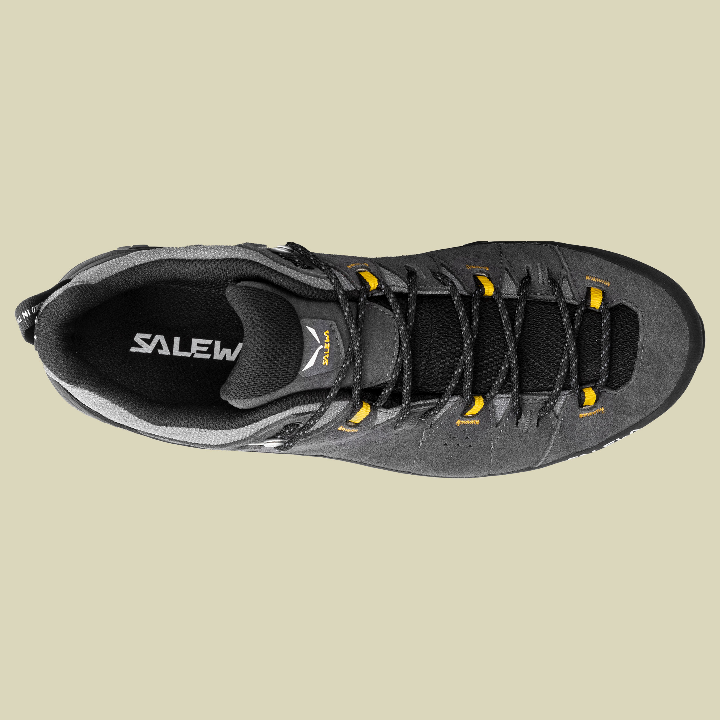 Alp Trainer 2 GTX Men onyx/black UK 11