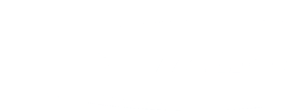 Schwalbe Logo