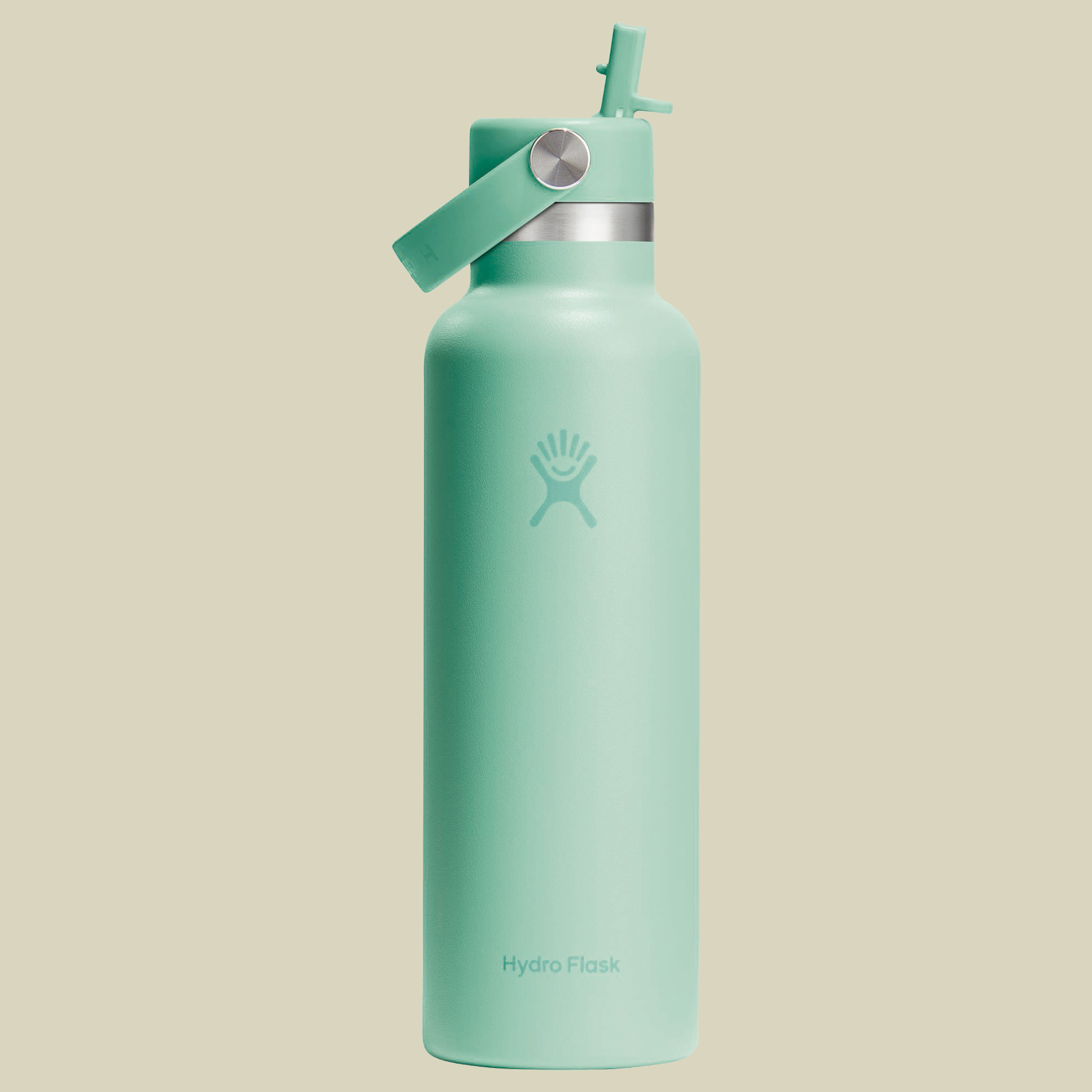 Hydro Flask 21 oz Standard Mouth w. Flex Straw Cap grün1 621 - mermaid green