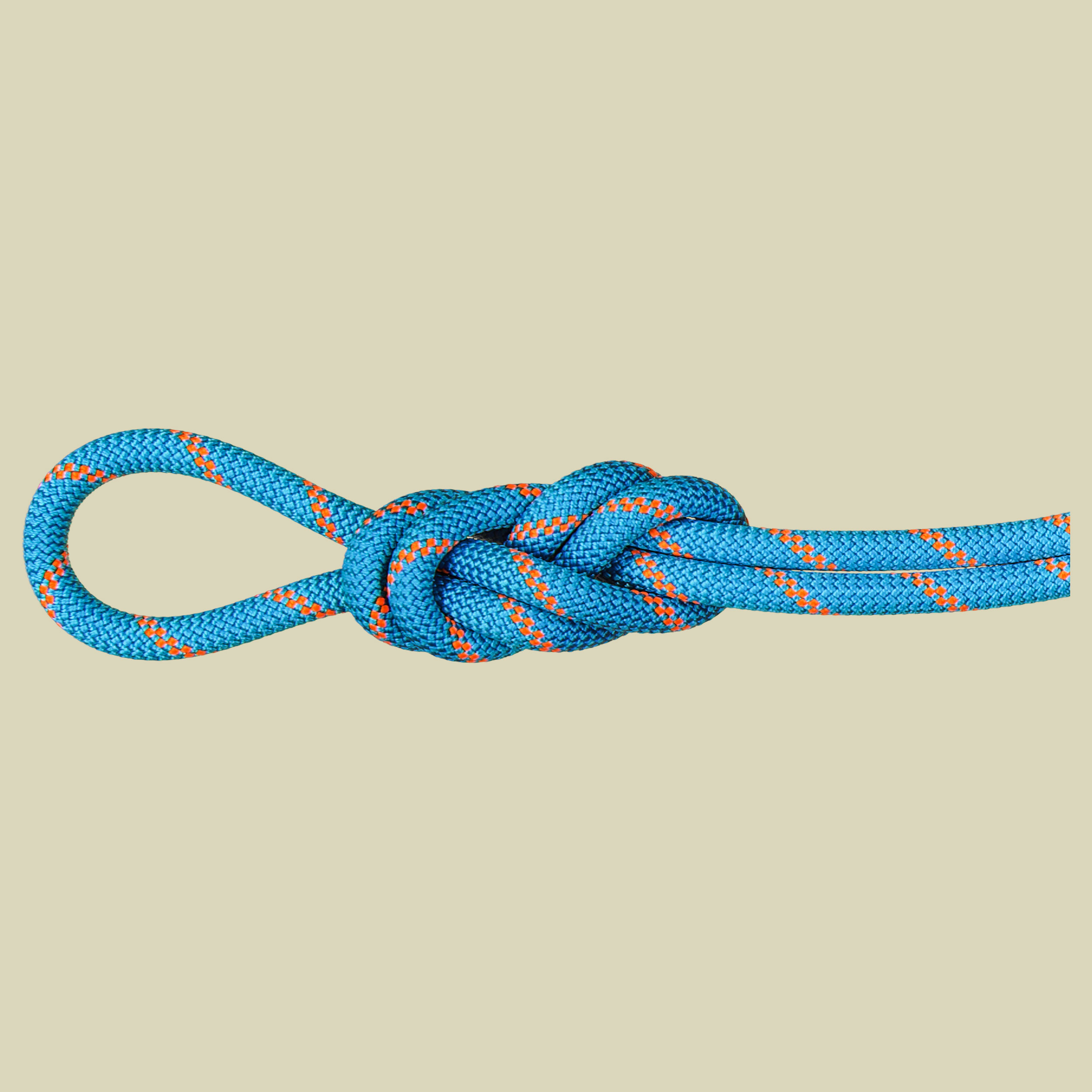 Dry Standard ocean-vibrant orange