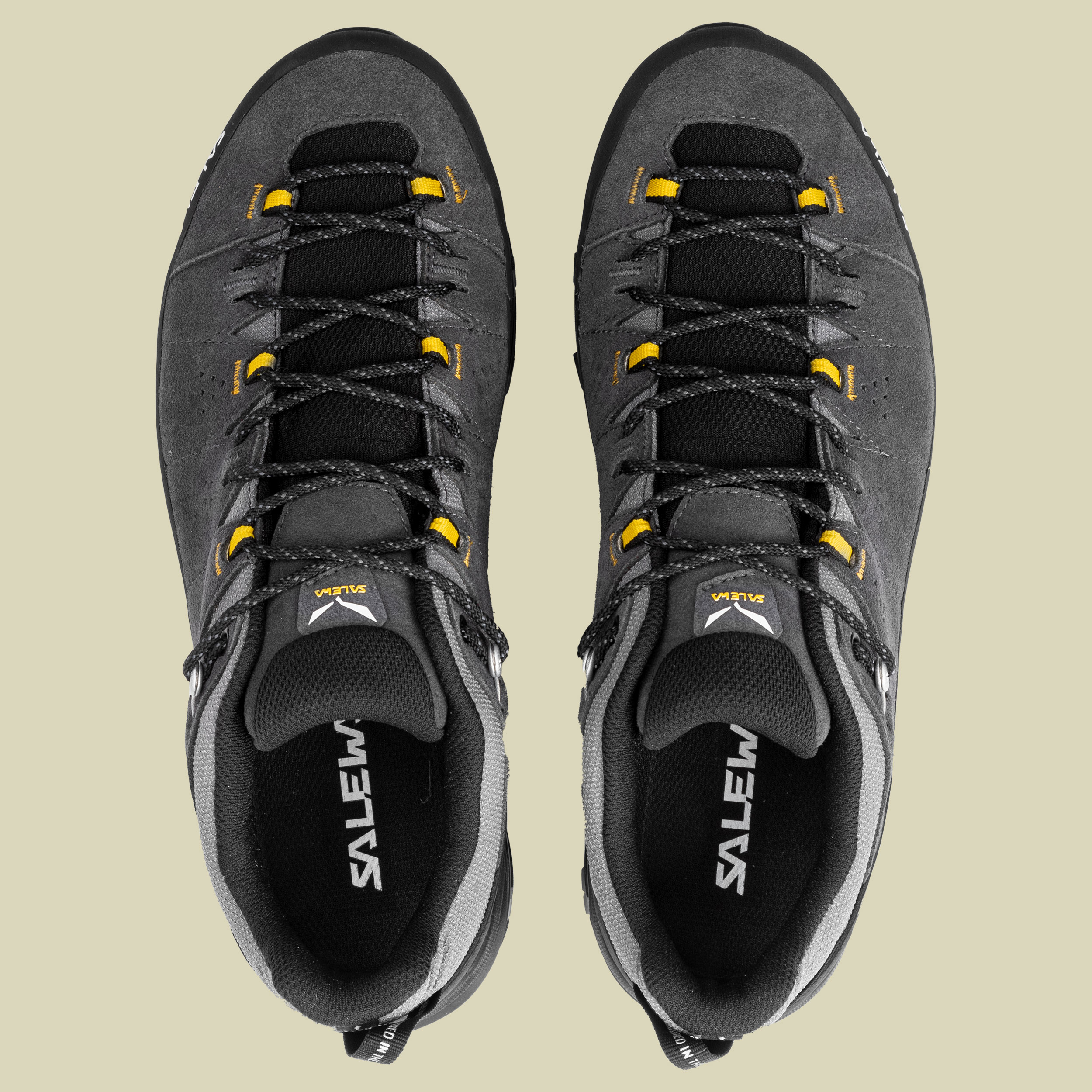 Alp Trainer 2 GTX Men onyx/black UK 11,5