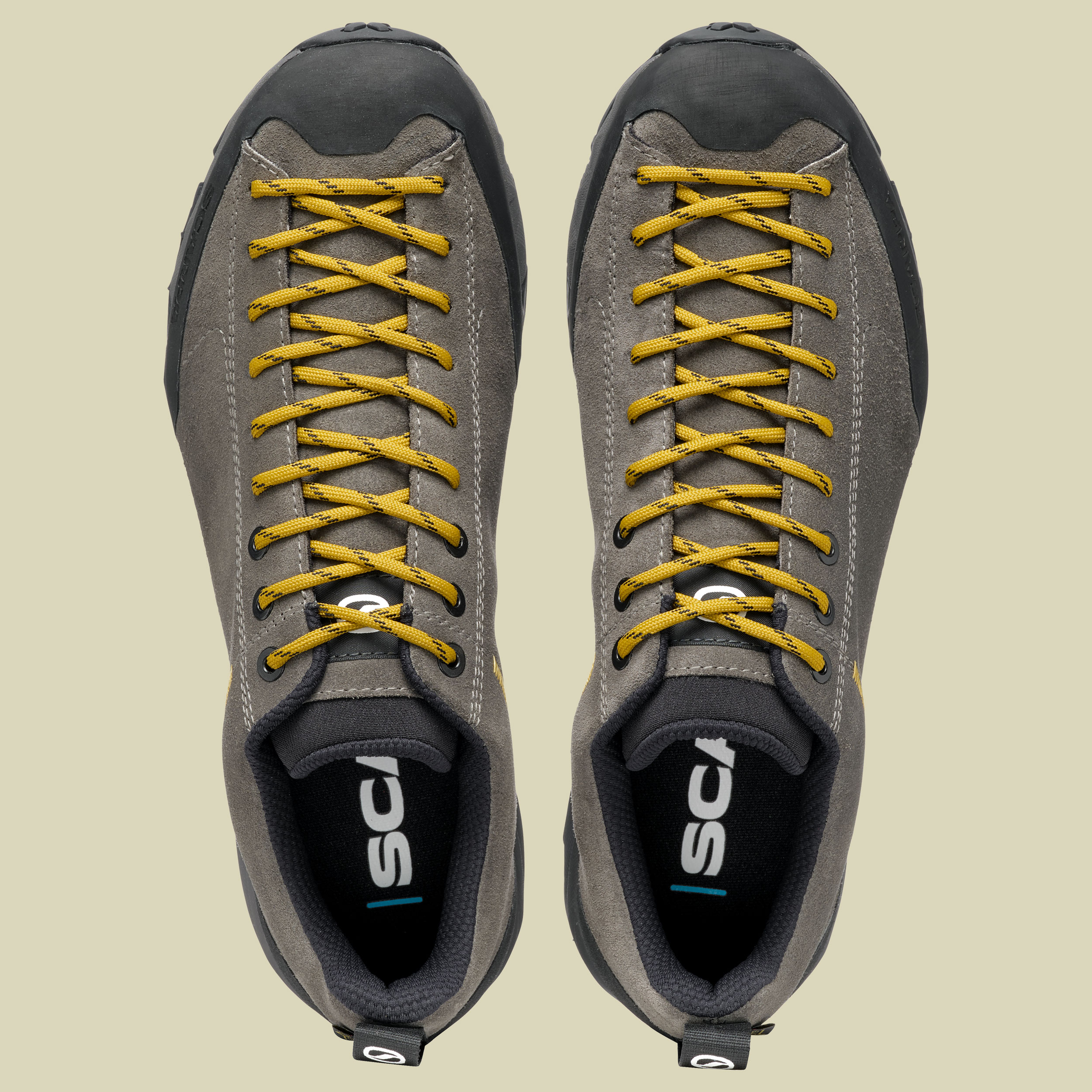 Mojito Trail GTX Wide Men grau 47 - titanium/mustard