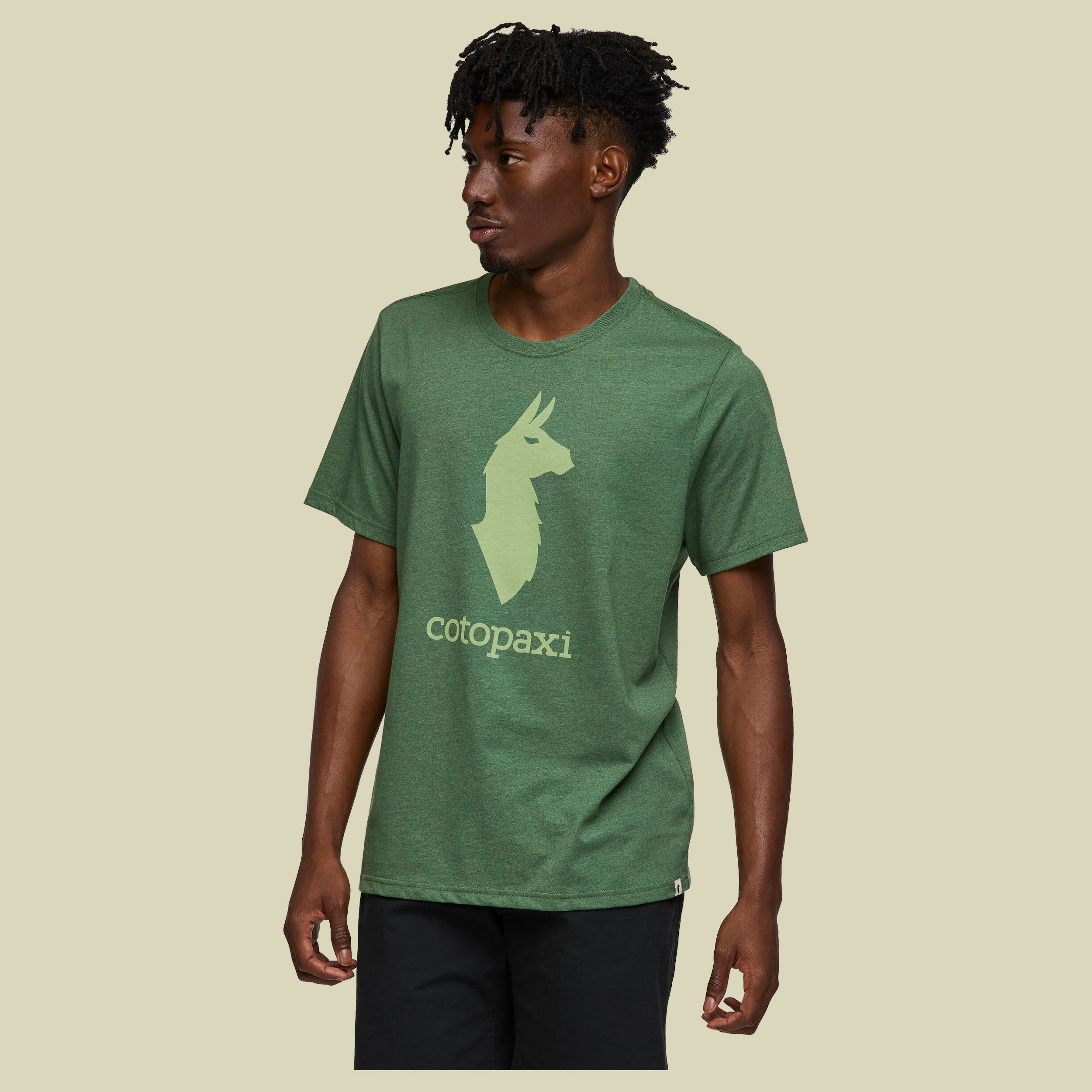 Cotopaxi Llama T-Shirt Men L grün - Farbe vine