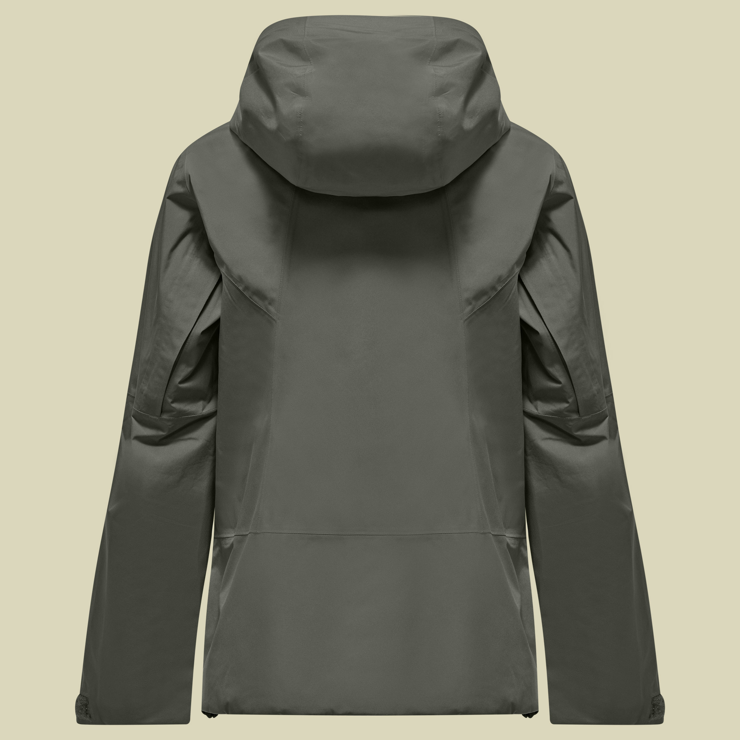 Puez GTX 2L EPE Jacket Women 40 grün - faded green