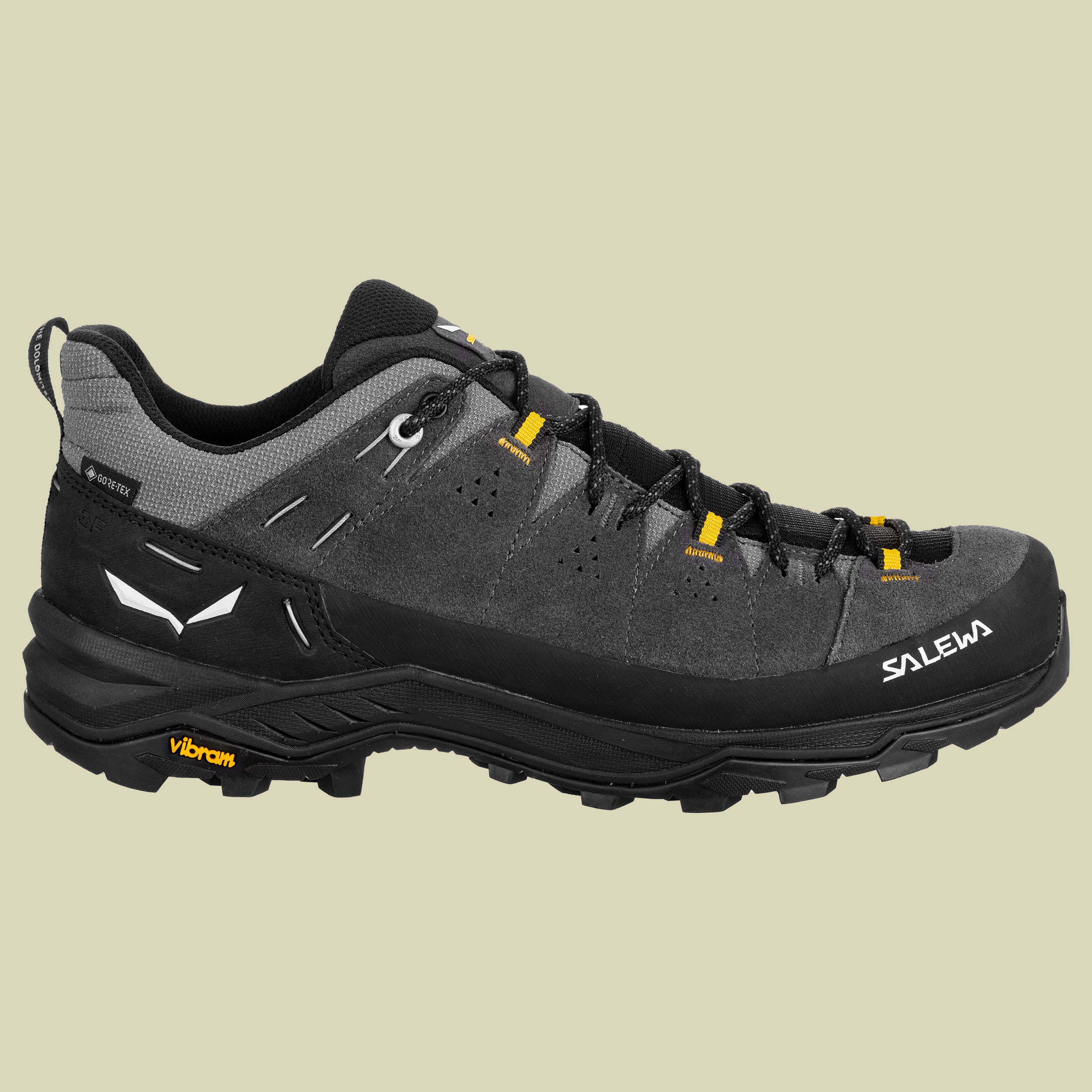 Alp Trainer 2 GTX Men onyx/black UK 8,5