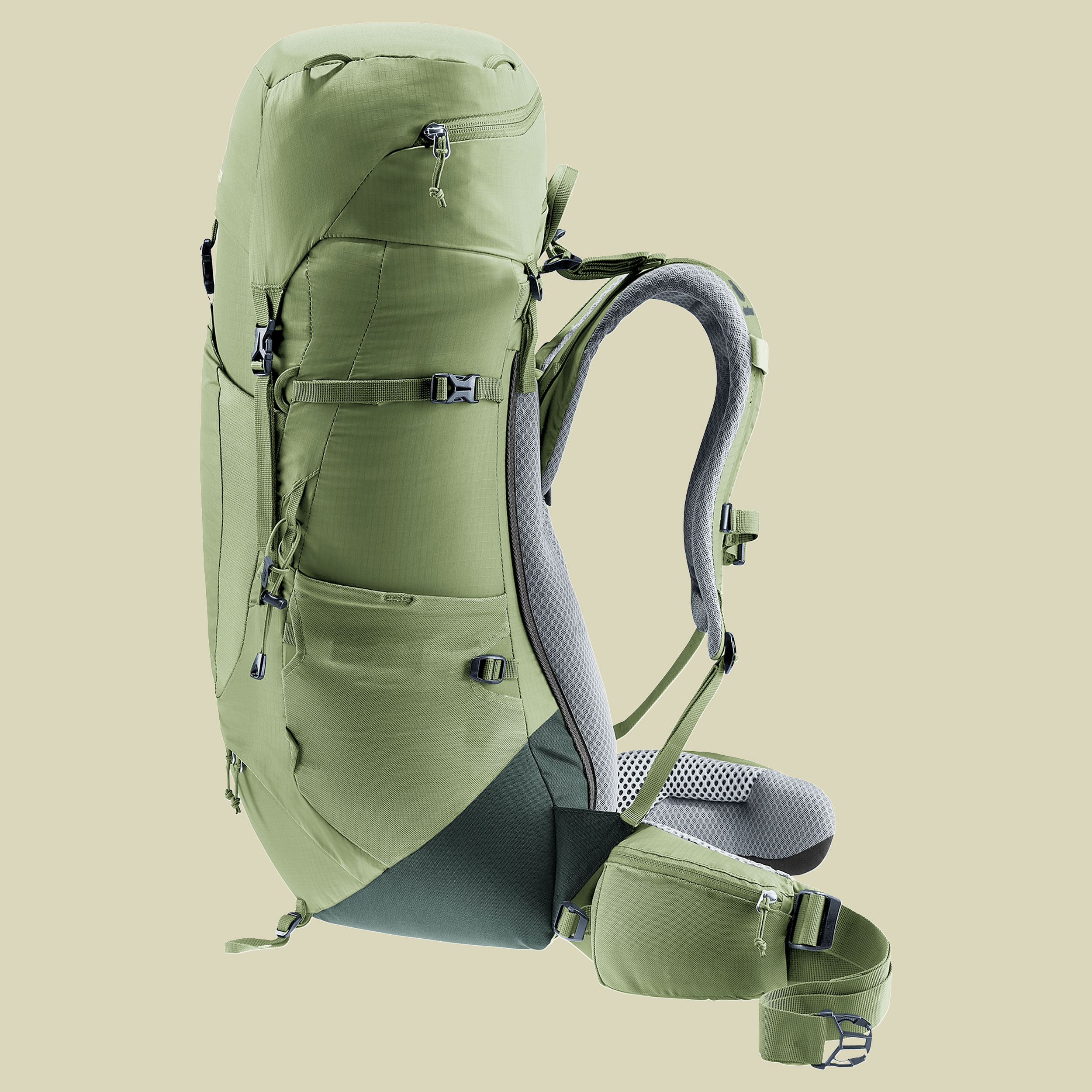 Aircontact Lite 35 + 10 SL Women grün 35 L + 10 L - Farbe grove-ivy